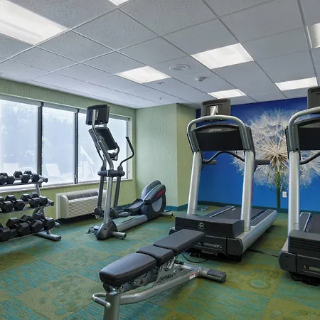 Springhill Suites St Petersburg Clearwater-2
