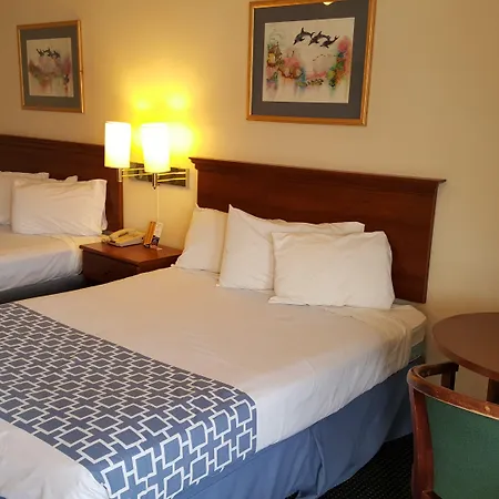 Flamingo Inn-2