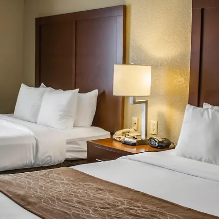 Comfort Suites San Antonio Seaworld - Lackland Afb-2