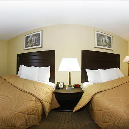 Comfort Inn Monterey Park - Los Angeles-3