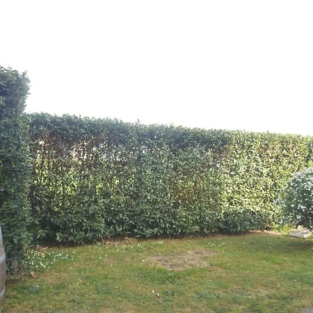 B&B La Corte-3
