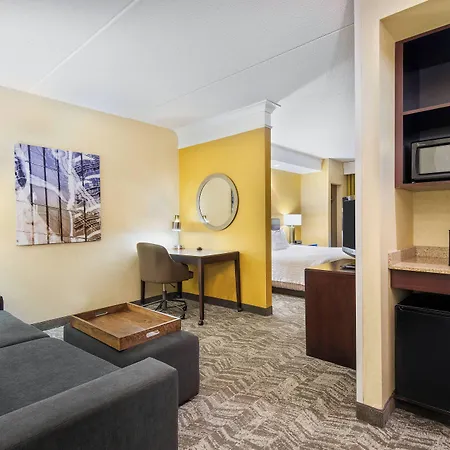 Springhill Suites By Marriott Wheeling Triadelphia Area-2