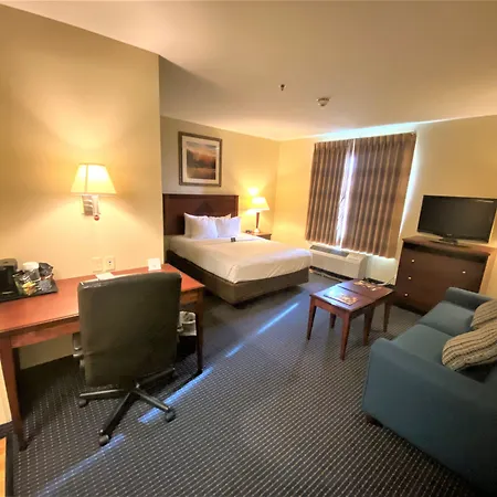 Mainstay Suites Dover-3