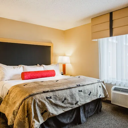 Cambria Hotel Minneapolis Maple Grove-3