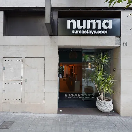 Numa Barcelona Brio-3