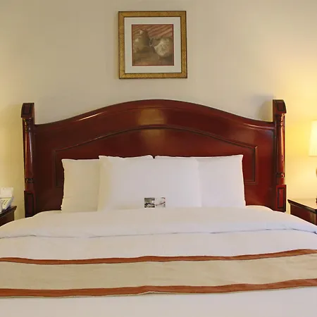 Al Diar Mina Hotel-3