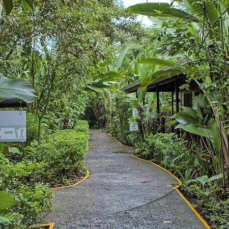 Pachira Lodge-3