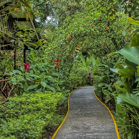 Pachira Lodge-2
