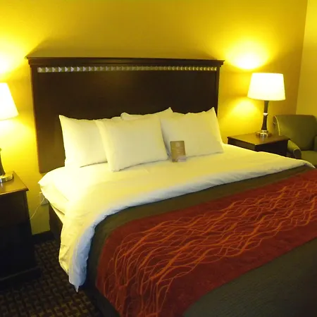 Comfort Inn & Suites Regional Medical Center-2
