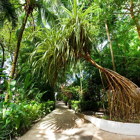 Makanda By The Sea Hotel Adults Only-3
