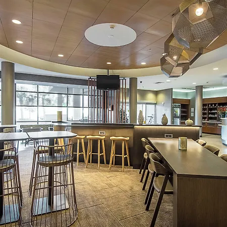 Springhill Suites Tampa North/Tampa Palms-3