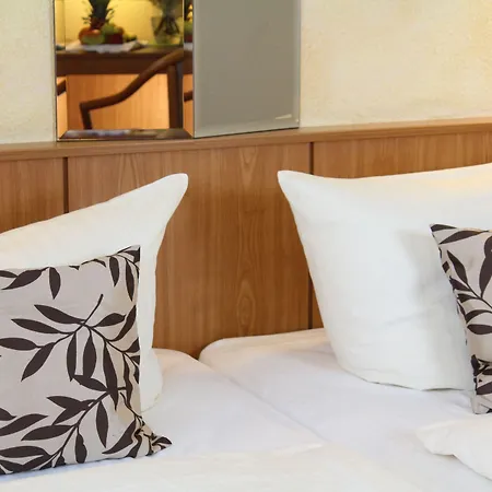 Hotel Weisser Schwan-3
