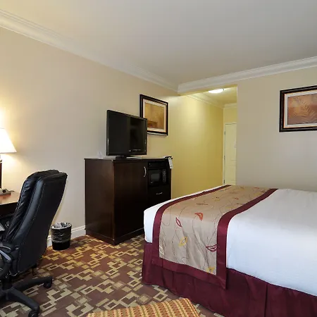 La Quinta By Wyndham Moreno Valley-2