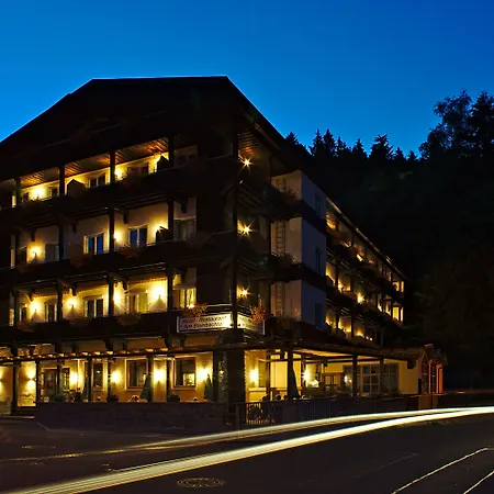 Natur- und Wanderhotel am Steinbachtal-2