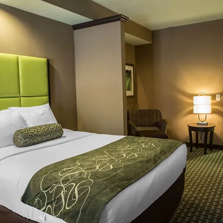 Comfort Suites New Bern Near Cherry Point-2