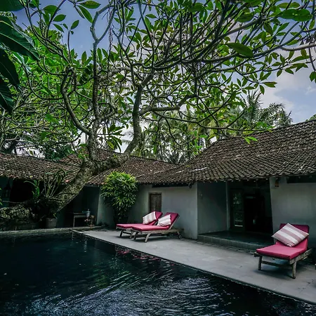 D'Omah Yogya Hotel-3