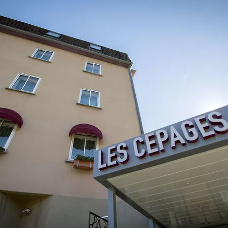 Logis Hotel des Cépages-3