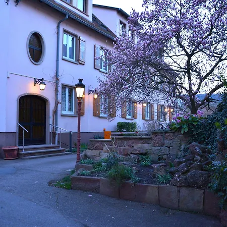 Logis Hôtel du Centre - Halte idéale en cyclotourisme avec garage à vélos clos-2