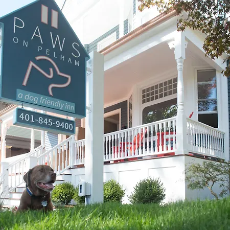 Paws On Pelham (Adults Only)-3