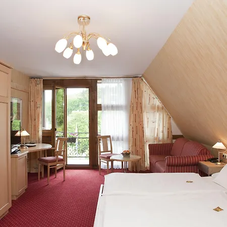 Wald Hotel Willingen-2