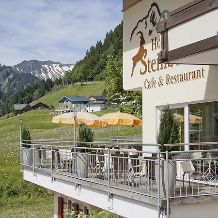 Hotel Steinbock-2