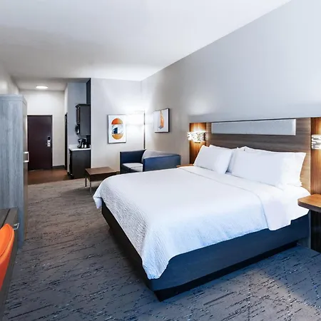 Holiday Inn Express Hotel & Suites Dumas By Ihg-3