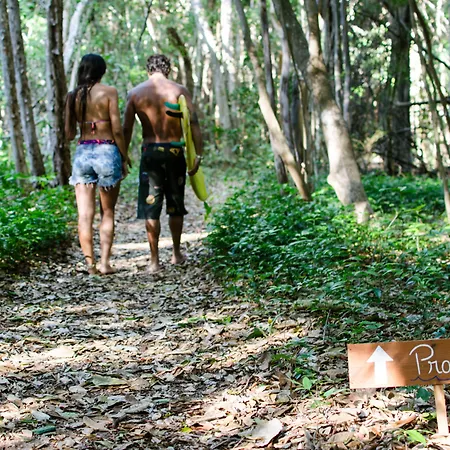 Bosque da Praia - ePipa-3
