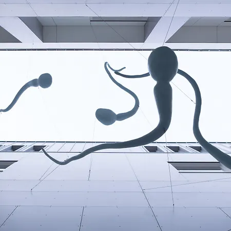 art'otel amsterdam, Powered by Radisson Hotels-3
