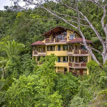 Sleeping Giant Rainforest Lodge-3