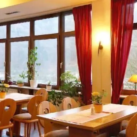 Hotel zum Neckartal Heidelberg-3