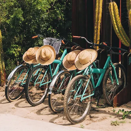 Hotel Escondido, Puerto Escondido - Adults Only-2