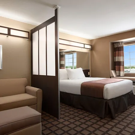 Microtel Inn & Suites Pleasanton-2