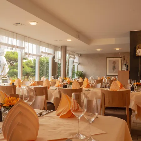 Hotel Villa am Rhein-2