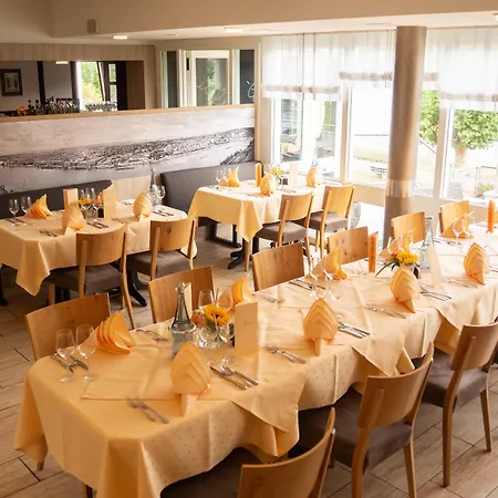 Hotel Villa am Rhein-3