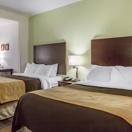 Comfort Inn Lexington South-3