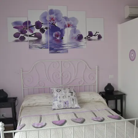 Sorrento Experience-3