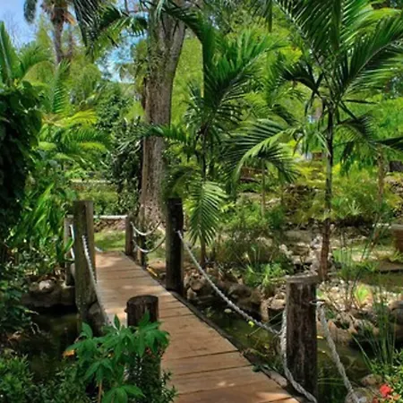 Hibiscus Lodge Hotel-3