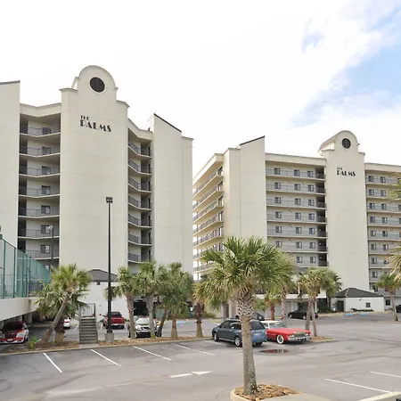 The Palms-2
