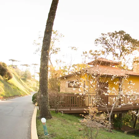 Surya-Pan Refugio Hotel - Super Pet Friendly-2