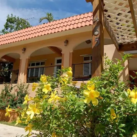 Villa Coral Guesthouse-2