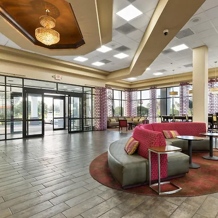 Orlando Palms-2