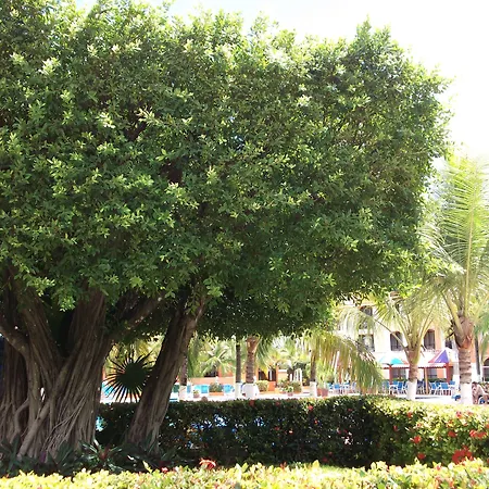 Cozumel Hotel & Resort-3