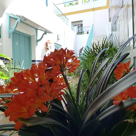 Hostal Campo Nuevo-3