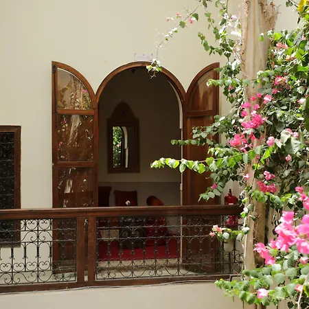 Riad White Flowers-3