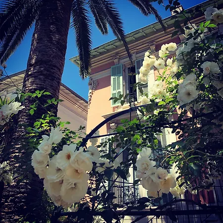 Hotel Villa Rose-3