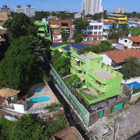 Bamboo Flat-2