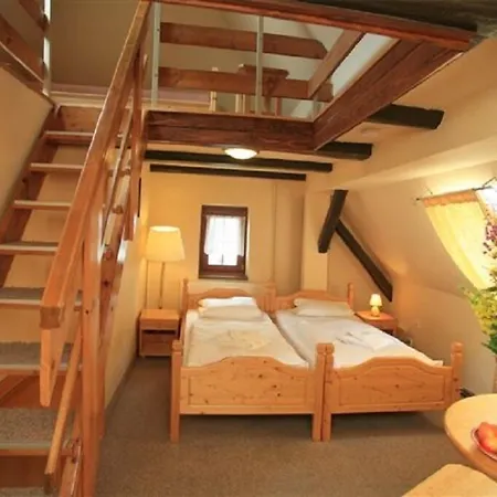 Hotel Zeleny Dum-3
