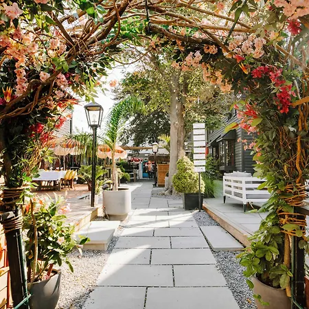 American Beech Hotel-3