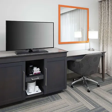 Hampton Inn & Suites By Hilton Atlanta Perimeter Dunwoody-3