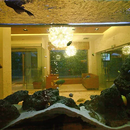 Hotel Flisvos-2